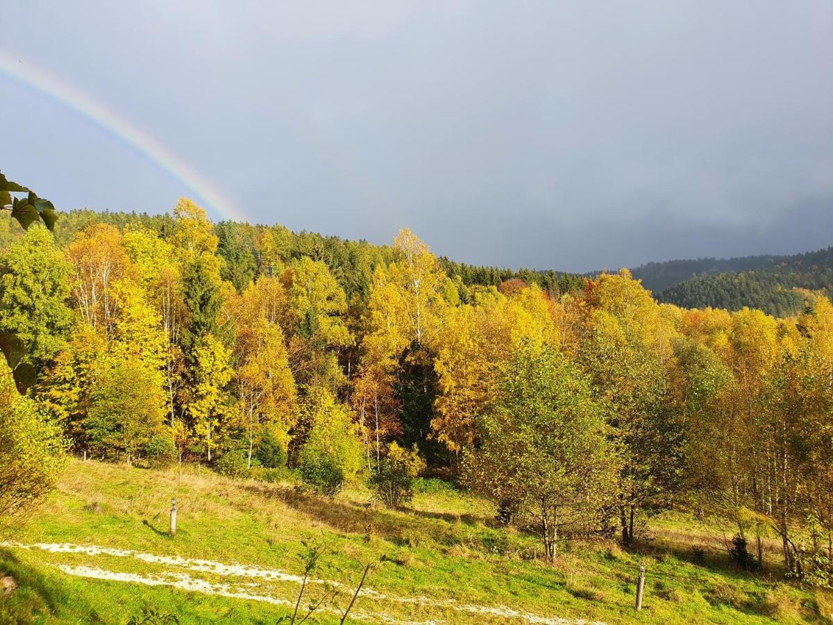 Lądek-ZdrójKsiezycowa Dolinaアパートメント エクステリア 写真