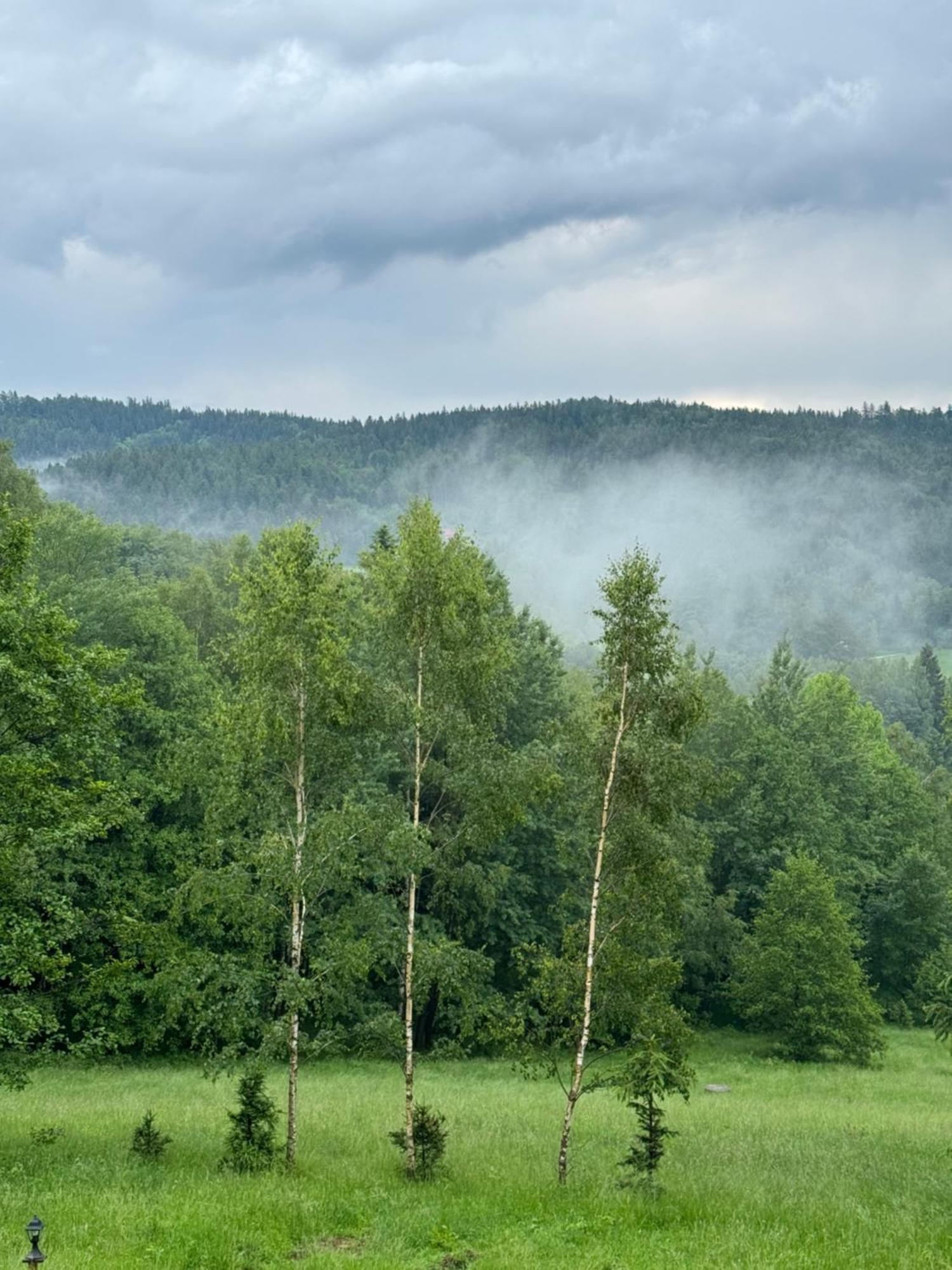 Lądek-ZdrójKsiezycowa Dolinaアパートメント エクステリア 写真